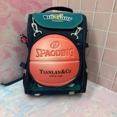 Imported basketball design bag2 قیمت و فروش اینترنتی کوله وارداتی توپ بسکتبال