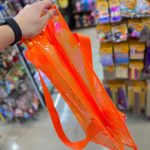 transparent bag2