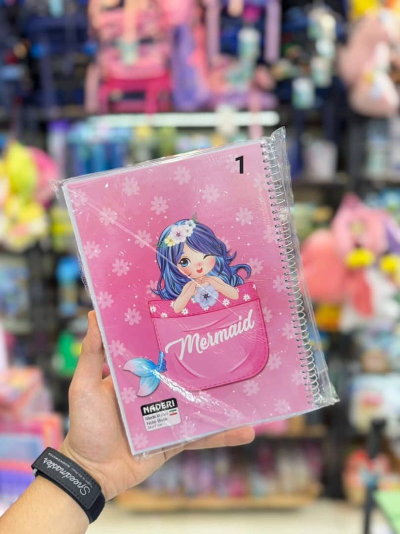 100-page notebook for girls, brand Naderi1 قیمت دفترمشق 100برگ برند نادری