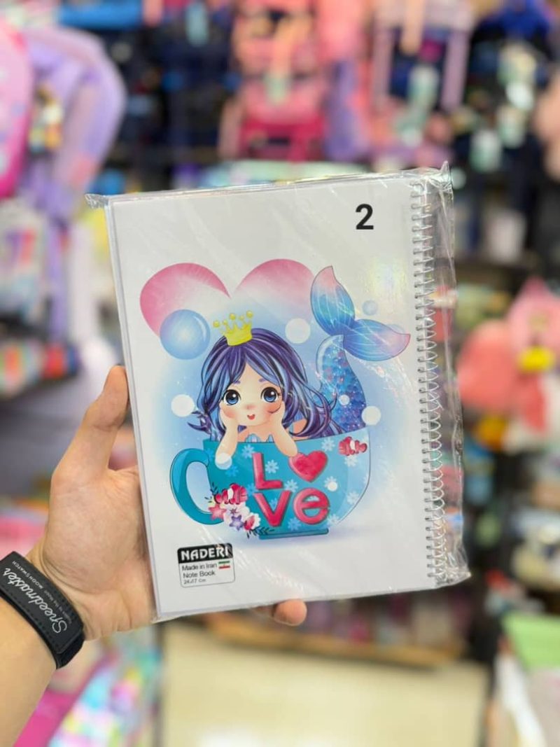 100-page notebook for girls, brand Naderi2 قیمت دفترمشق 100برگ برند نادری