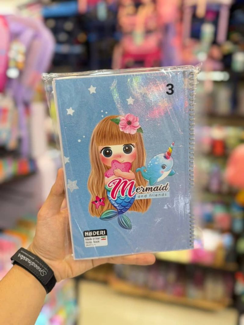 100-page notebook for girls, brand Naderi3 قیمت دفترمشق 100برگ برند نادری