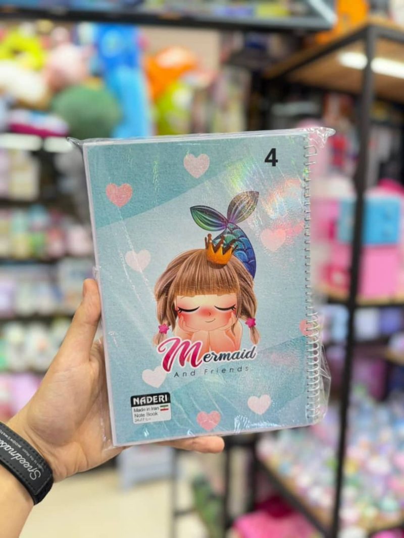 100-page notebook for girls, brand Naderi4 قیمت دفترمشق 100برگ برند نادری