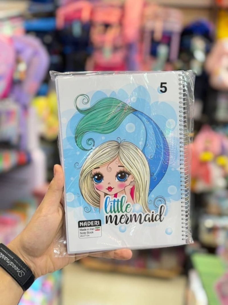 100-page notebook for girls, brand Naderi5 قیمت دفترمشق 100برگ برند نادری