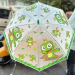 fancy umbrella10