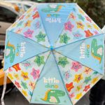fancy umbrella2