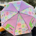 fancy umbrella3