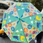 fancy umbrella4