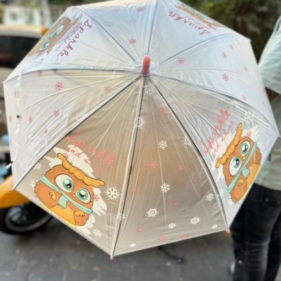 fancy umbrella5