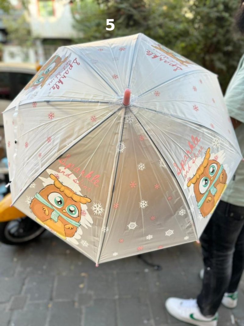 fancy umbrella5