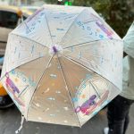 fancy umbrella6
