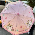 fancy umbrella7