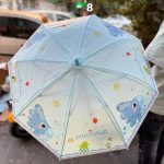 fancy umbrella8
