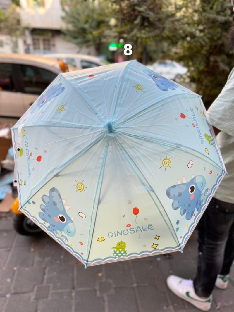 fancy umbrella8