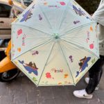 fancy umbrella9