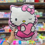 Chrome pillow and big kitty3