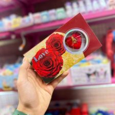 WhatsApp Image 2026-02-03 at 4.02.15 PM (1)